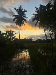 6 Aviones, 3 barcos y 2 trenes, empezando en Estambul y terminando Kuala Lump - Blogs de Indonesia - TERCERA PARADA: BALI (2)