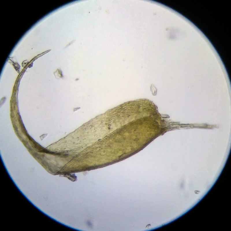 IMG 20250614 205914 HDR