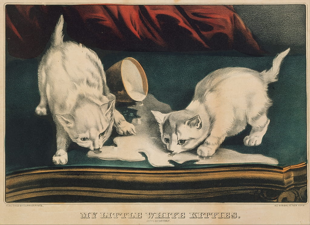 2-Nathaniel-Currier-James-Merritt-Ives-Curri-My-Little-White-Kitties-Into-Mischief-1871-1871-Creat