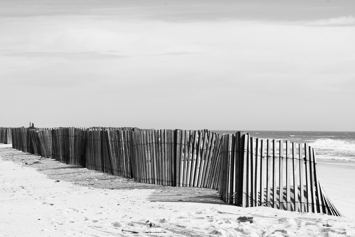 blacknwhitesandfence.jpg