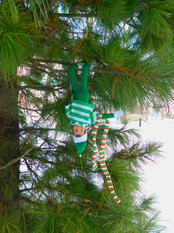 Февральское Коломенское 2023 023