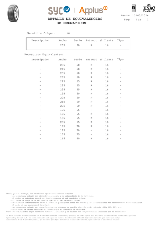 EQUIVALENCIA NEUMATICOS-1