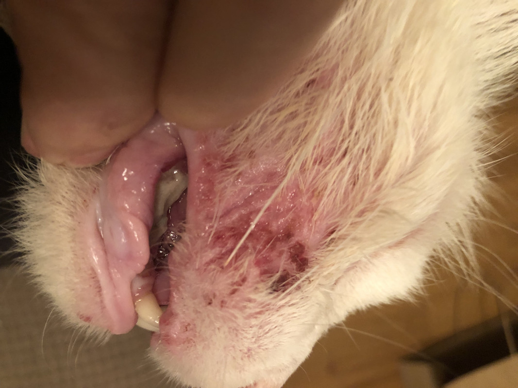 B1331E76-FEA3-4079-8703-337ED96318B8