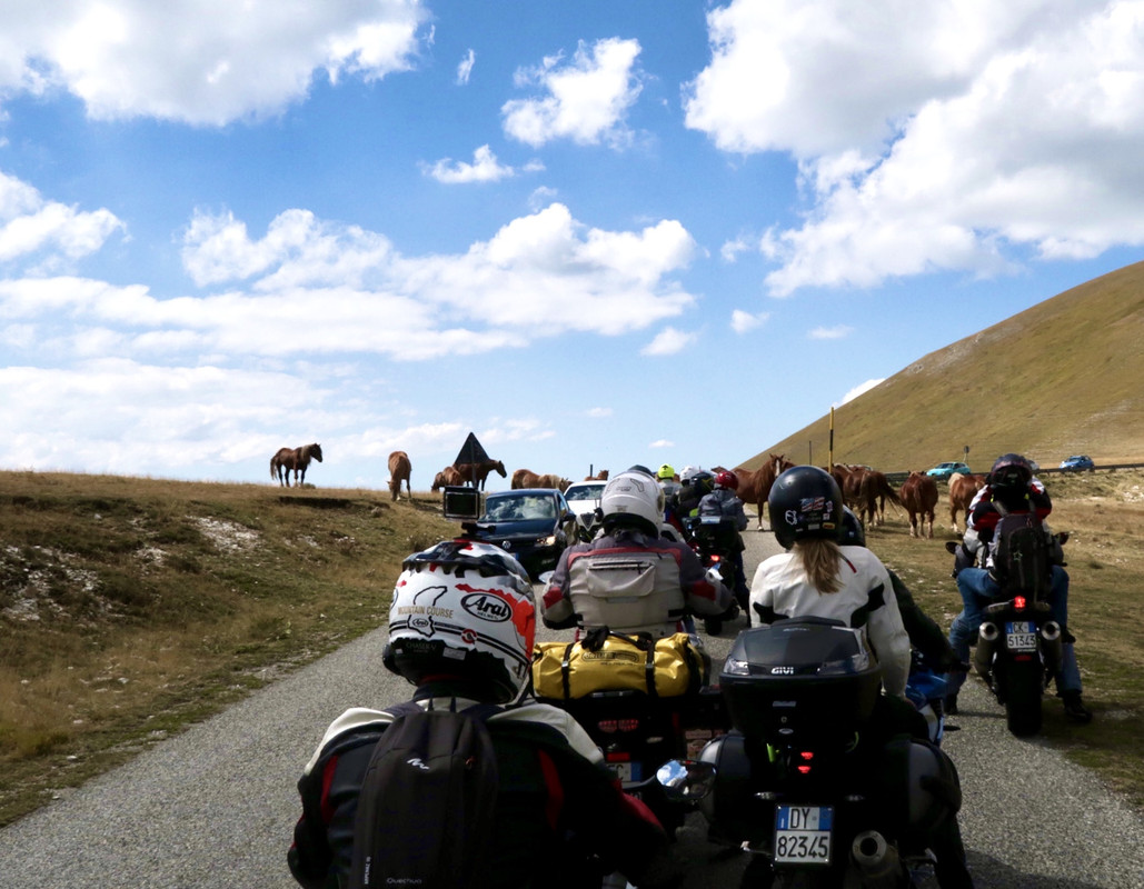 2CD99640-9039-4AFB-A1B8-9924346A7A93