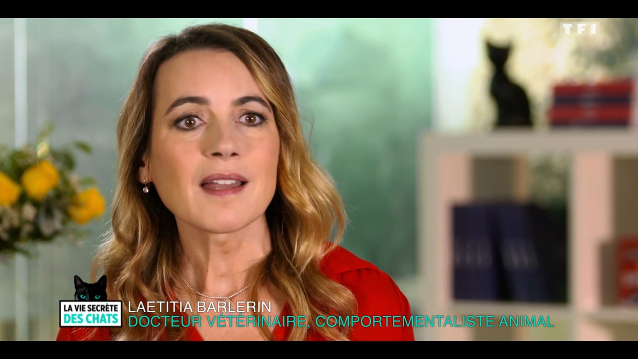 2020-05-30_10_35_TF1_La-vie-secrete-des-chats_Chats-et-sentiments-avec-Charlotte-Valan.mp4_snapshot_
