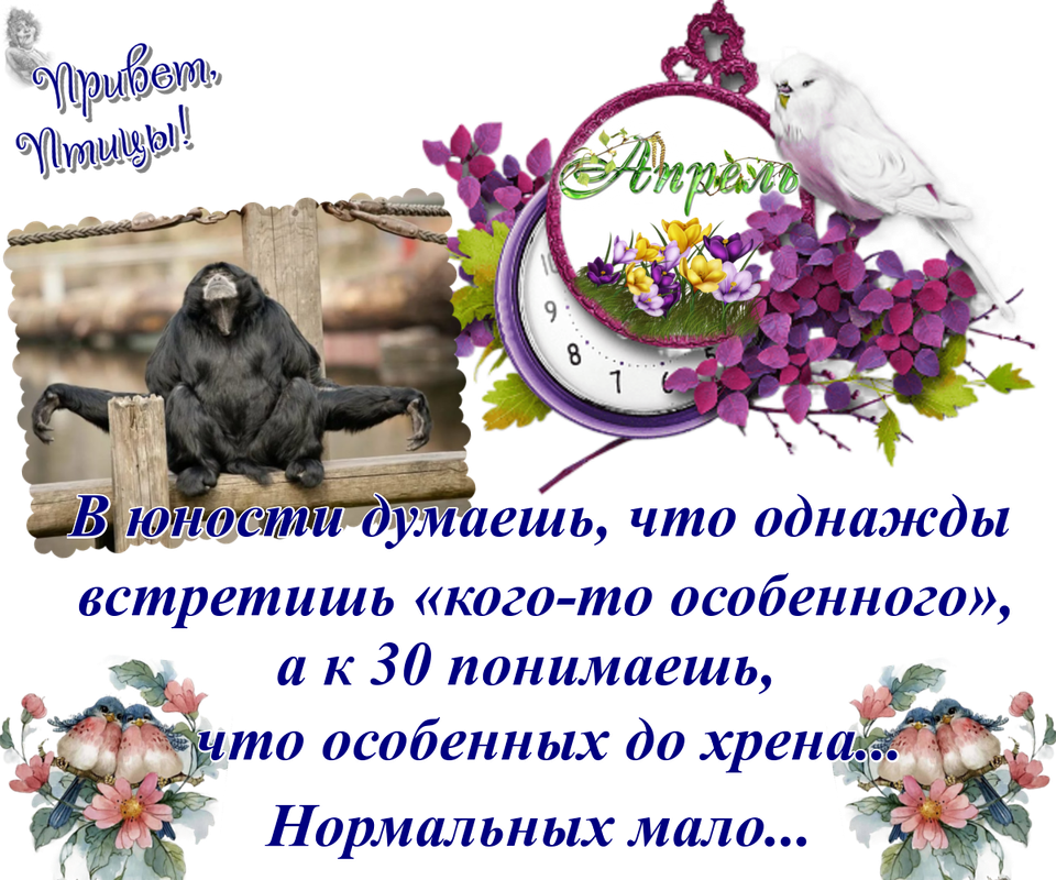 https://i.postimg.cc/LXHk3DHQ/04-04.png