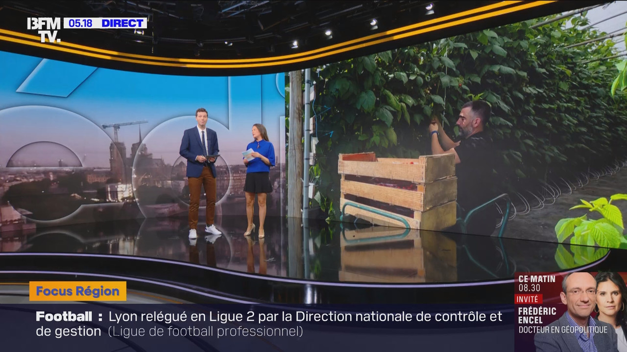 Première édition (BFMTV)_2025_06_25_03_25_88.ts_snapshot_00.53.52.342