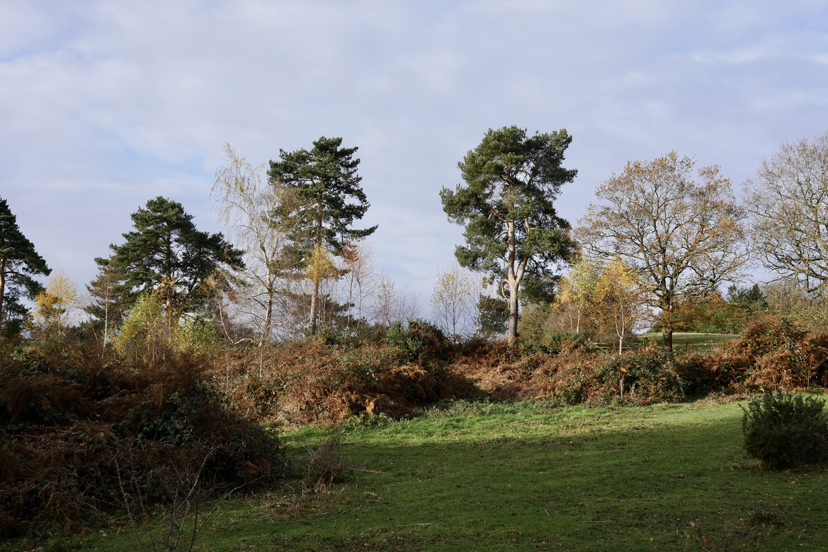 FA30F790-6149-4737-ACCF-FB52284AAECD