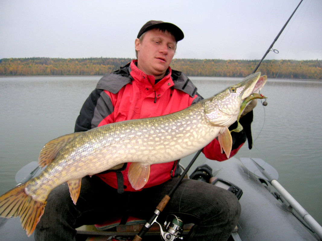 Рыбалка 647 40