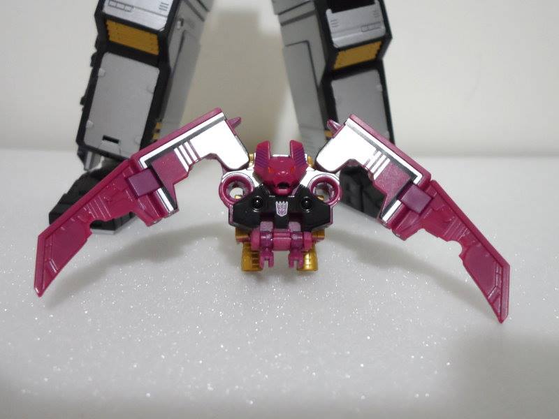 14576_607429866010093_1531817522_n