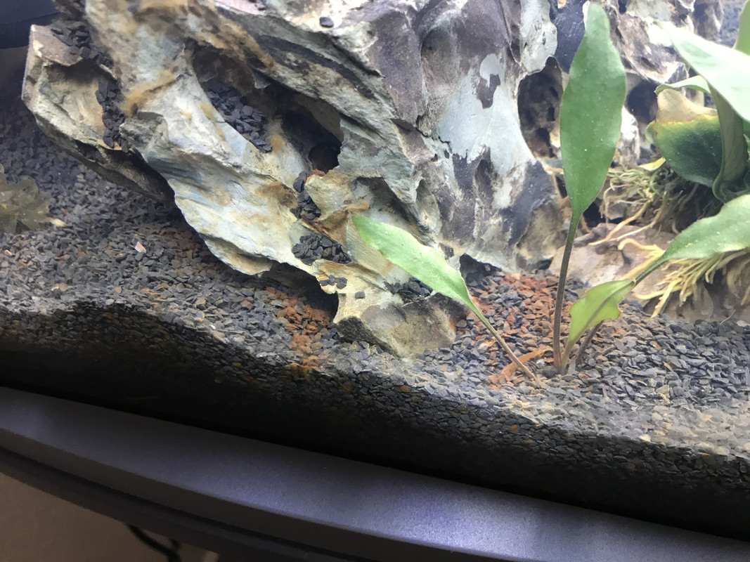 0356040F-8143-4EE4-AE5D-29D3C46522E5