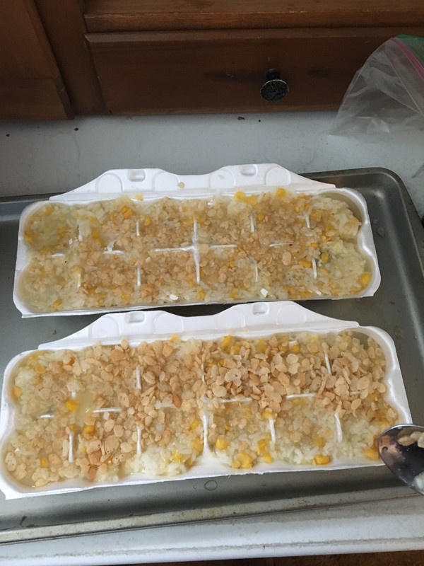 0A9BB696-F36C-43CF-9CE7-CD03BA489FCD