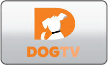 Dog TV