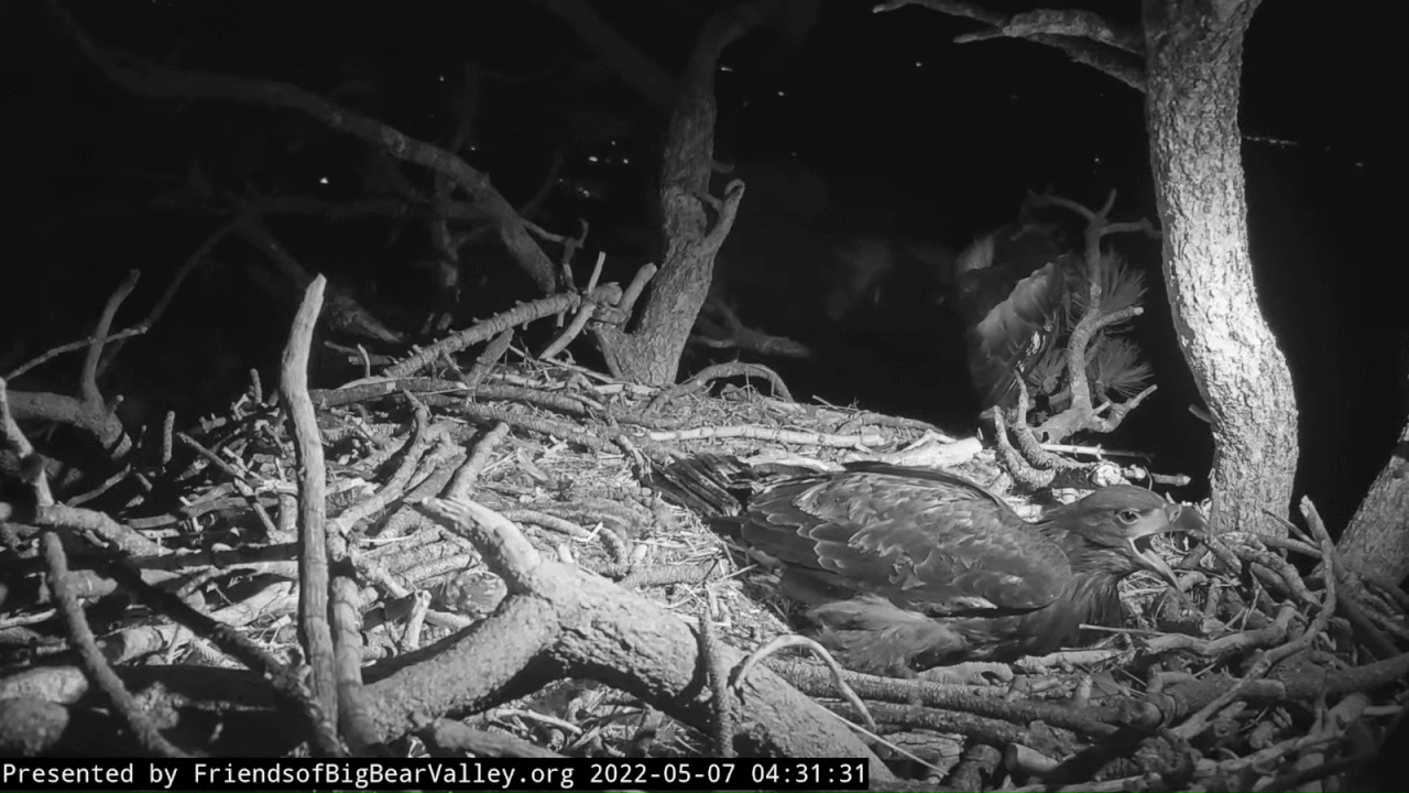 Webp.net-gifmaker (16)