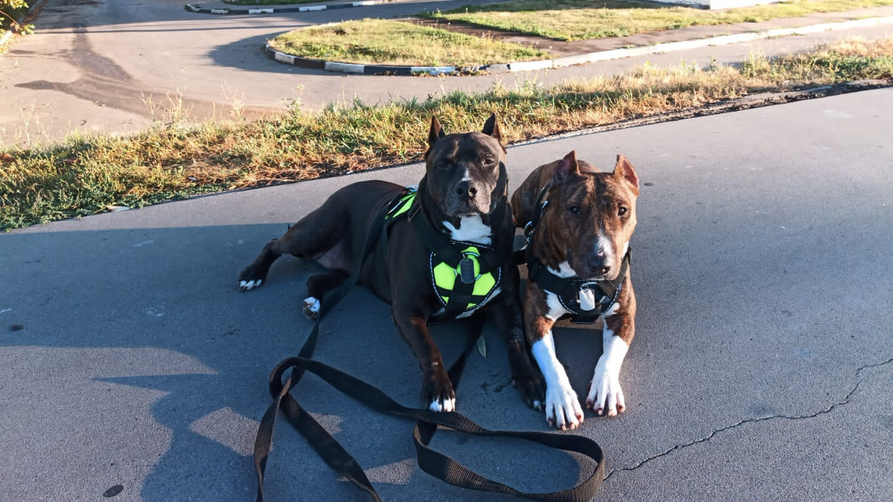 B3601FCF-13A6-42E0-B6DC-79C1999BFD79