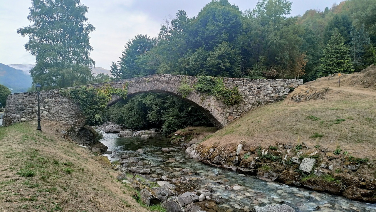 IMG20250818152247 (Large)