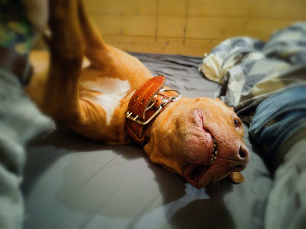 5D8BAD81-33FF-4C3B-B4CD-C3A5D4B350C5