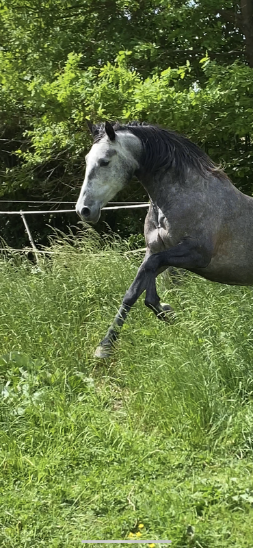 0E263239-3D81-412E-8177-30A93A4DF76A