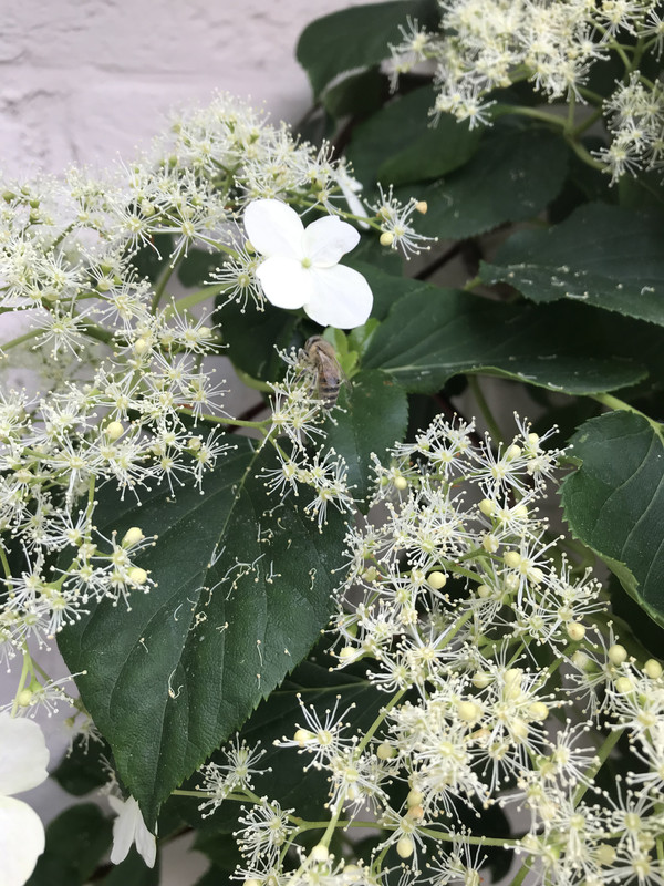 B074EF81-9C3C-42DD-8597-1A4CAC7A4BDA