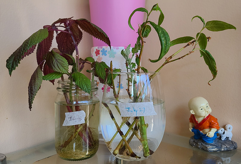 [Image: 20220824-094846.jpg]