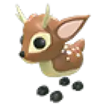 Fallow Deer