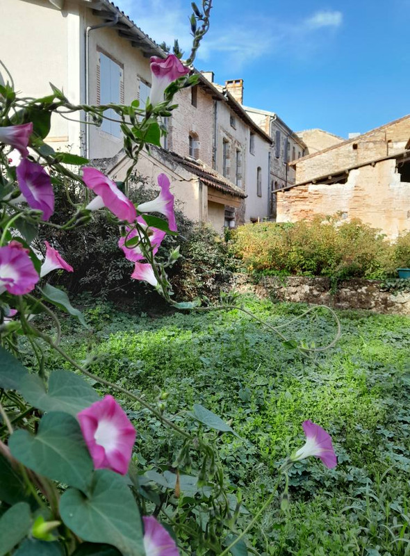 565687485-10163947956753984-477809874414