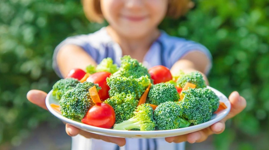 Dieta Vegana sconsigliata nei Bambini: studio rileva rischi pericolosi.