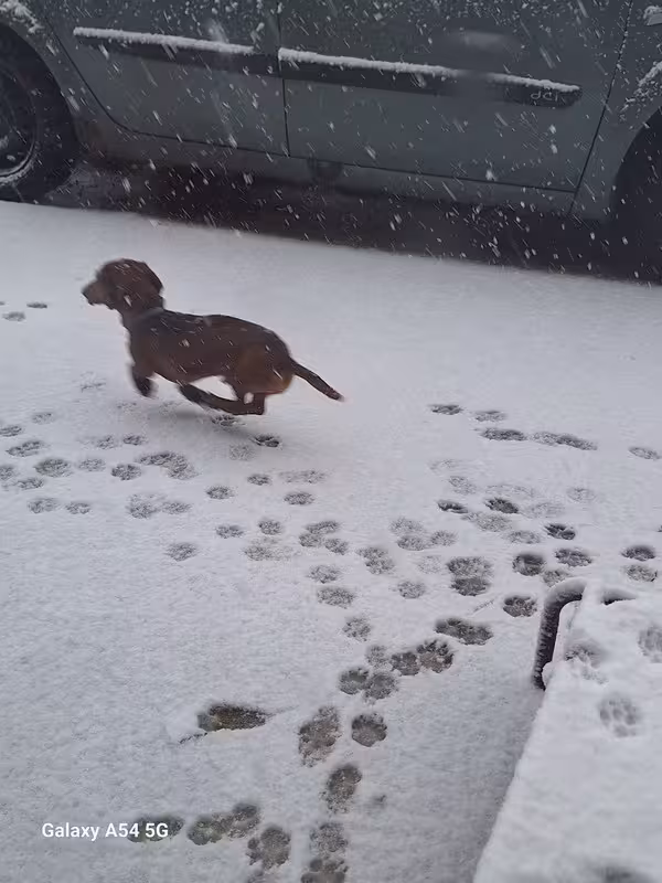 [Image: 20241121-094319.avif]