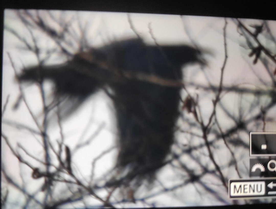 Screenshot 2026 01 22 16 33 35 930 edit com miui gallery