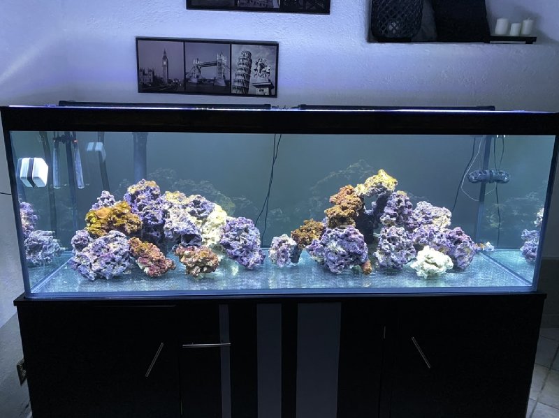 1D959CB3-0316-469C-8066-AB8A5876EB3B