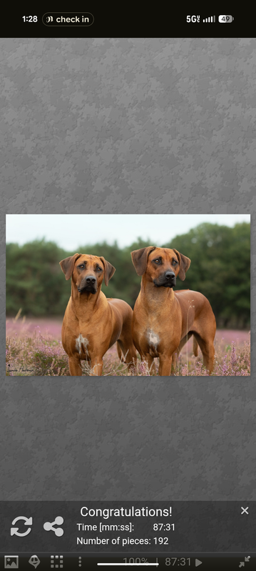 Screenshot 20260215 132850