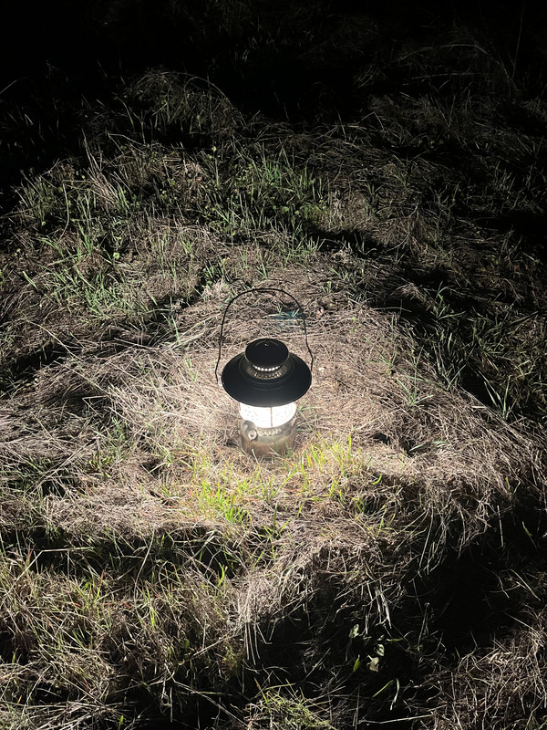 1517A72B-81B3-45C3-B1A0-39A53D056C61