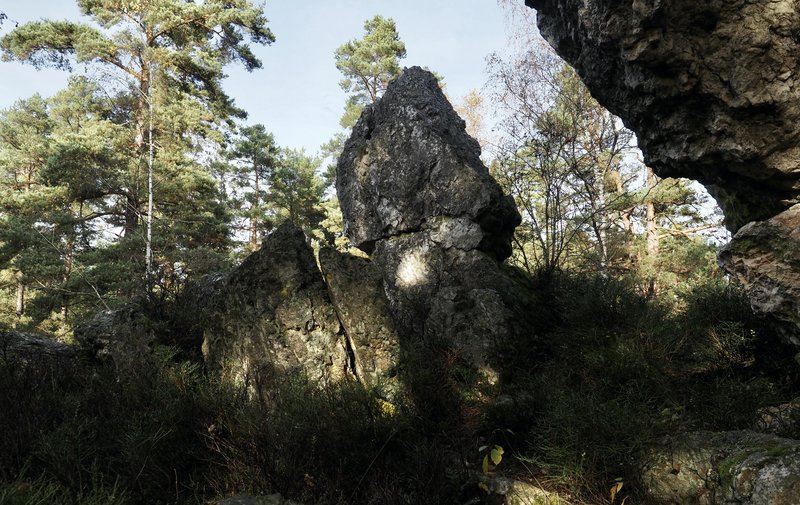 PA290832.jpg