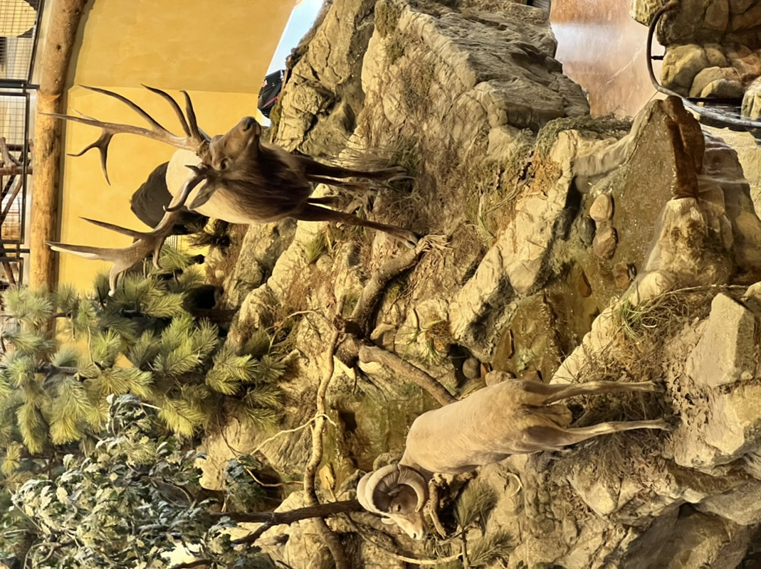 FF3002F3-9A27-4913-B9CA-6B9AB0F39173