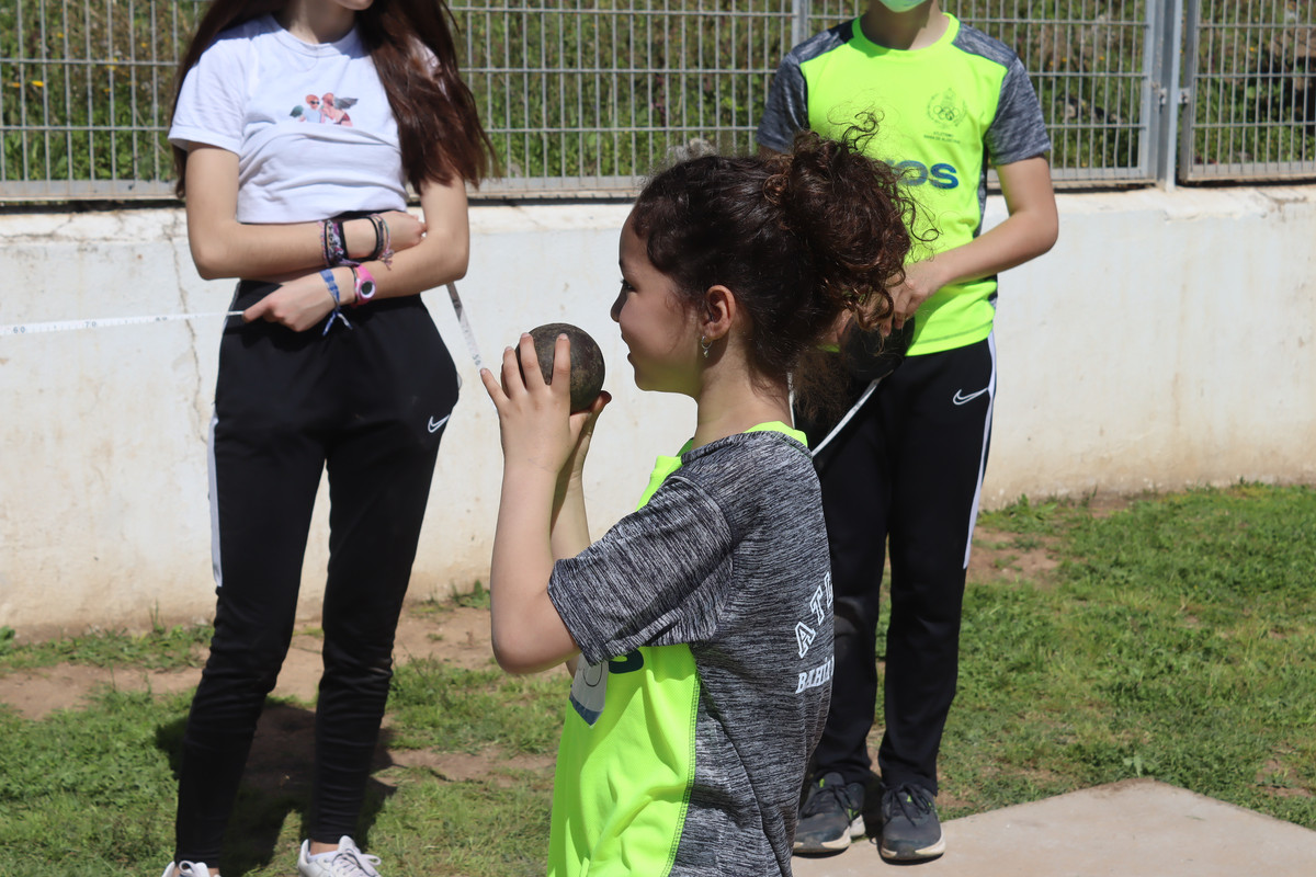 IMG-4535