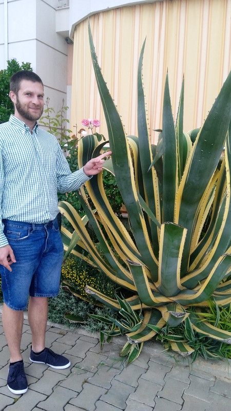 A7F76240-79BE-4920-80C6-4C09117A5E97