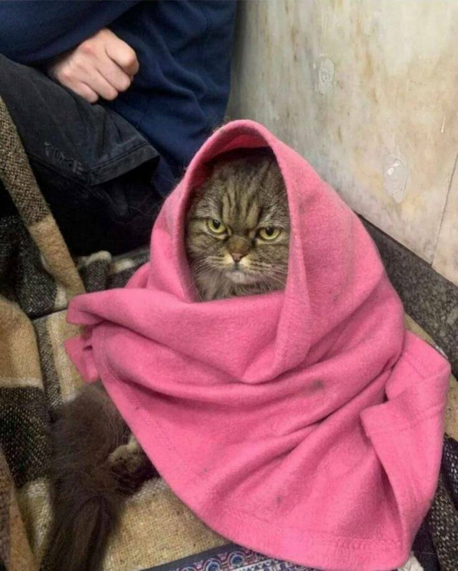 daily-picdump-51-12.jpg