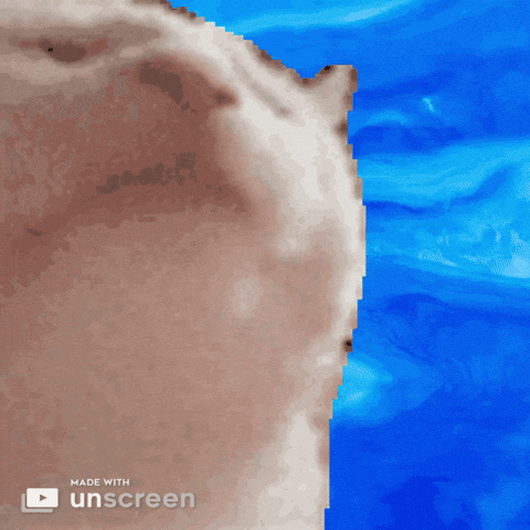 Cat-headbang.gif