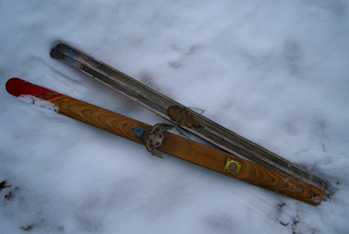DSCN4159.jpg