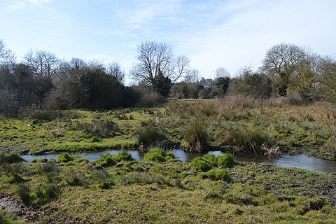 Henry VIII's Hunting Accident River-Purwell-in-Purwell-Meadows-5