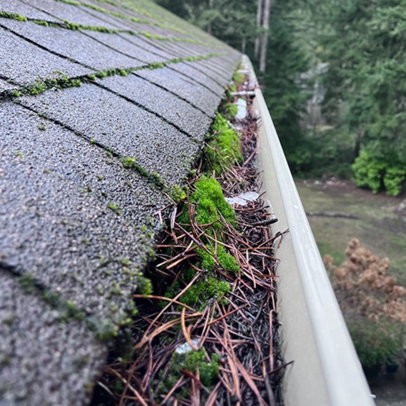 Before - window cleaning