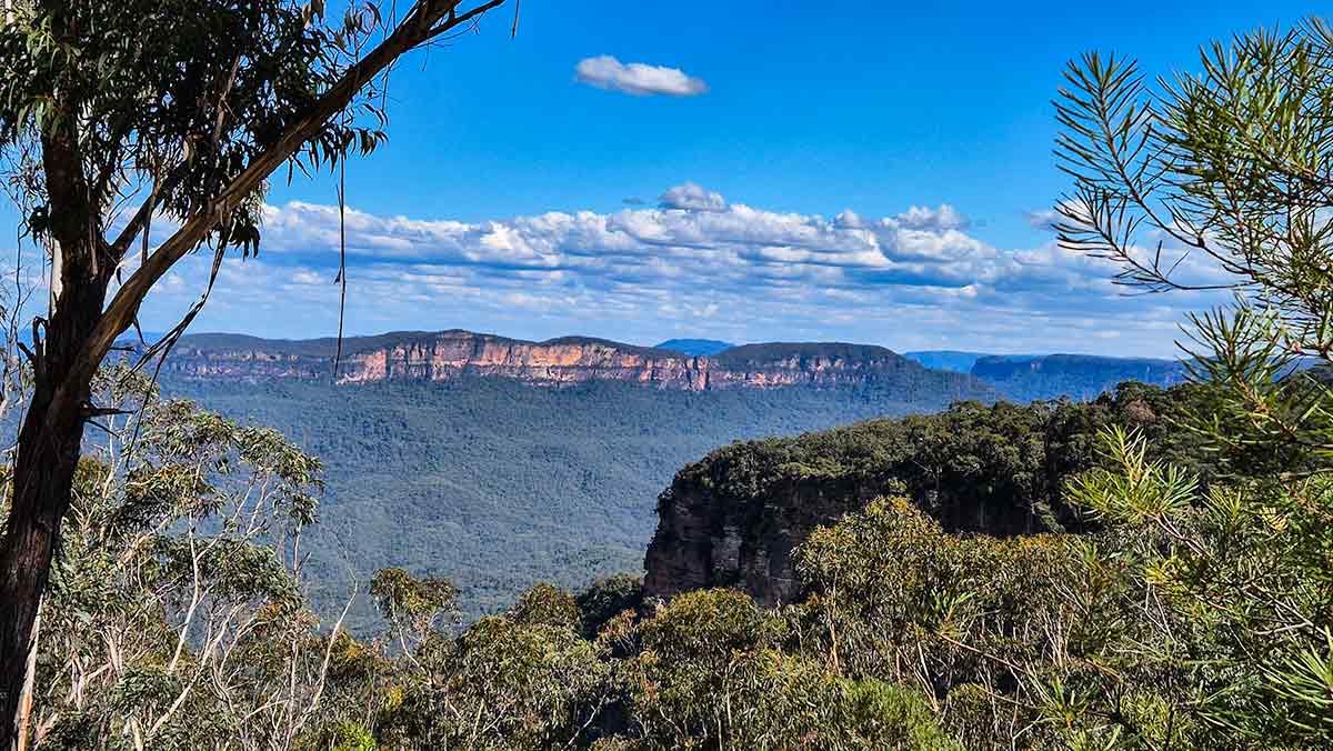 The Blue Mountains