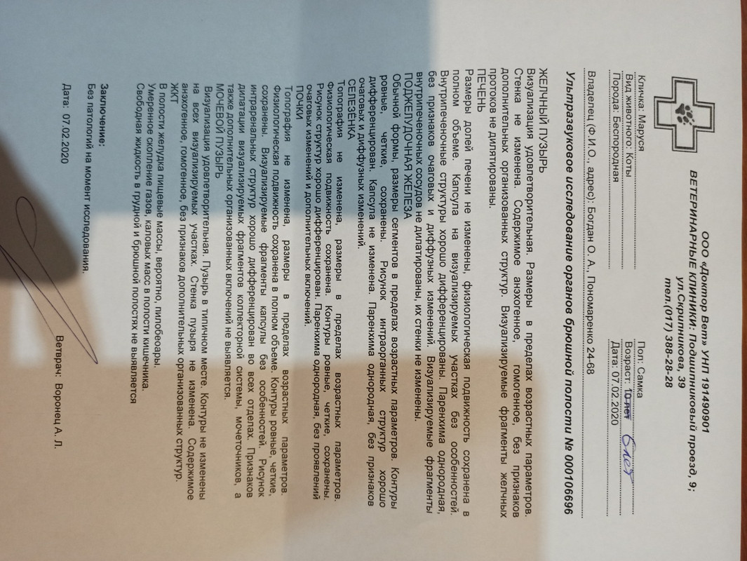 Маруся узи обп