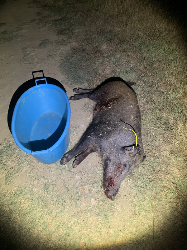 C5AB39A6-9045-4AF3-9B53-37C9EE3E3986