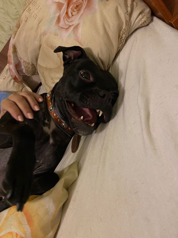 6EA215AC-32F6-4453-9194-999BF669D86C