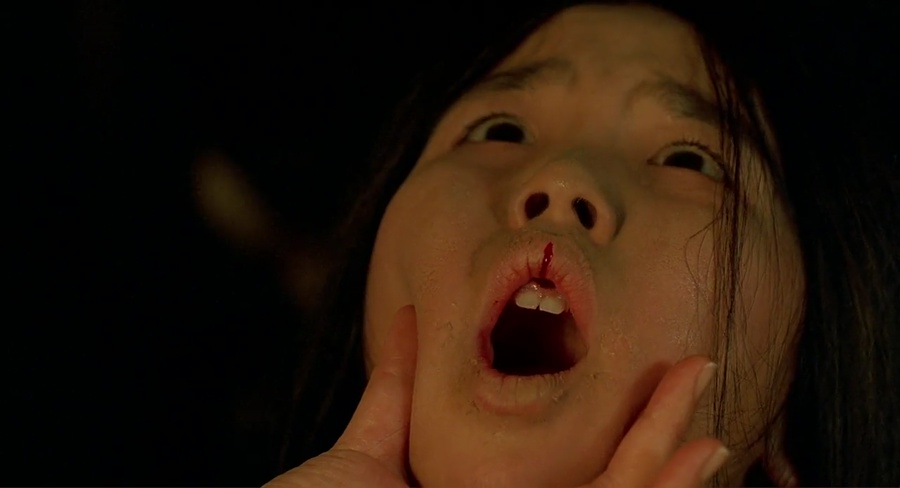 The Grudge 3 2009 BluRay [Hindi + Tamil + Telugu + Kannada + English] 480p, 720p, 1080p ESub Screenshot