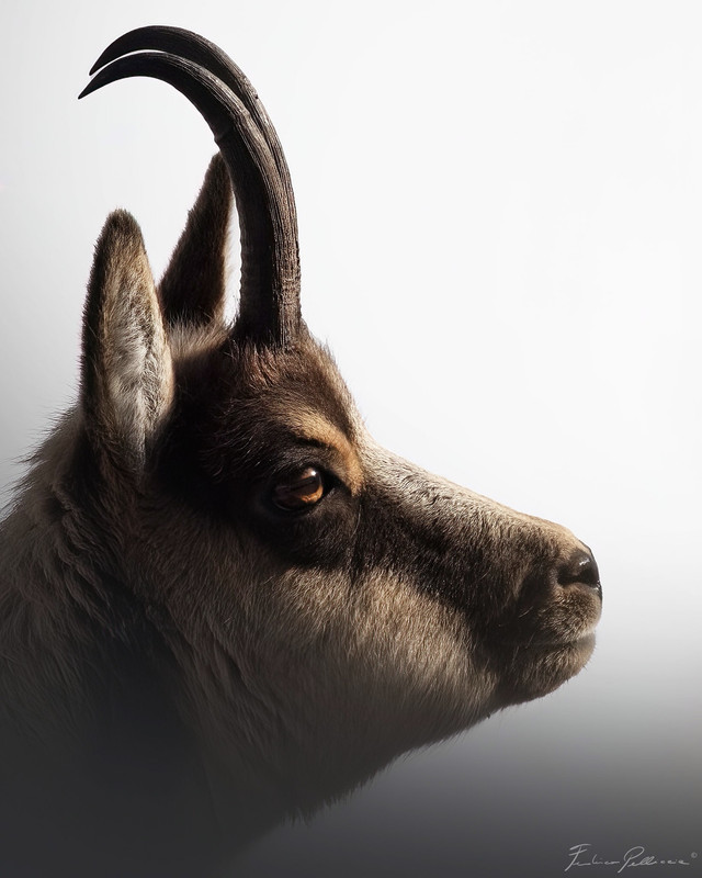 3EBE7F59-9E4B-4010-A6E6-ED73BD0DB228