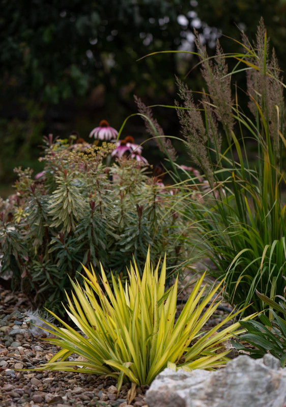 IMG-f5665aa0205ca48a10edf5329fd27674-V