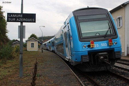 23503.jpg
