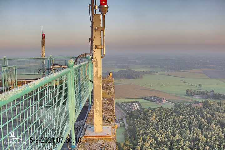 campics vanaf 1 juli © VWGGemert en bonusjes van ter plekke - Pagina 24 V7